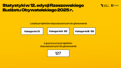 Grafika informacyjna, wyk. Raina Gerula, Urząd Miasta Rzeszowa